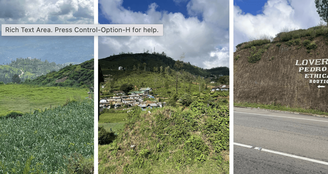 Brian’s Sri Lanka Challenge Day 4: Nuwara Eliya to Ella