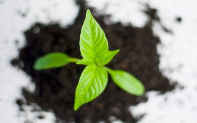 Retirement planning – Don’t put it off