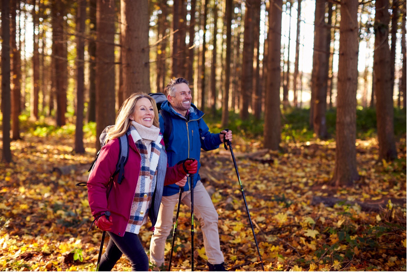 Are you protecting your pension contributions?